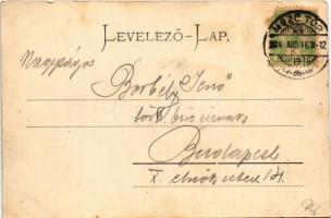 1904 Mezőtúr, látkép. Braun Juda kiadása (EB)