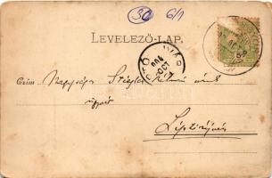 1904 Lillafüred (Miskolc), nyaralótelep, villa. Lövy József fia kiadása 769. (EM)