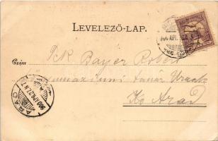 1900 Lillafüred (Miskolc), nagyszálló. Lövy József fia kiadása 767. (EK)
