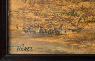 Hénel Gusztáv (1887-1966): Csendélet Olaj, vászon, jelzett. Dekoratív fakeretben, 45×60 cm