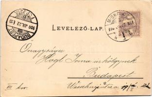 1900 Miskolc, Városház tér, Városháza, Érseki leánynevelő, Glós és Radvány házak, Szlavkovszky üzlet...