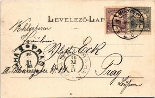 1901 Miskolc, Szemere utca. Lövy J. fia kiadása (EK)