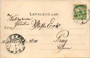 1900 Miskolc, Avasi templom. Gedeon András kiadása, kézzel színezett (EB)