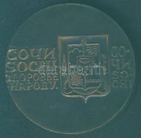 Szovjetunió DN "Frunze Szanatórium" Br emlékérem T:BU Eredeti díszdobozban!