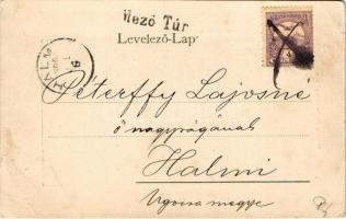 1900 Mezőtúr, M. kir. állami felsőbb leányiskola. Braun Juda kiadása (EB)