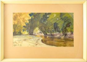 Dobroszláv Lajos (1902-1987): Erdei patak. Akvarell, papír, jelezve jobbra lent, üvegezett keretben, hátoldalán Képcsarnok Vállalat címkéjével, 24×44 cm.
