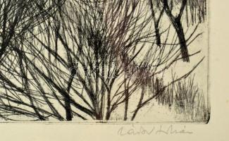 Zádor István (1882-1963): Zajlik a Duna. Színezett rézkarc, papír, jelzett. JÜvegezett keretben 34x2...