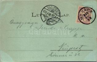 1900 Mohács, Dunagőzhajózási társaság állomása, kikötő, a Duna Mohácsnál este holdfényben. Rosenthal...