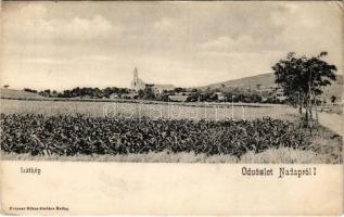 Nadap, látkép. Presser Miksa kiadása (EK)