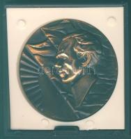 Szovjetunió DN "Osztrovszkij Állami Múzeum" bronzpatinázott emlékérem T:BU Eredeti díszdobozban!