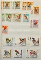 Magyar rendező a Krajcárosoktól az 1960-as évekig, többlet példányokkal 32 lapos A/4 berakóban