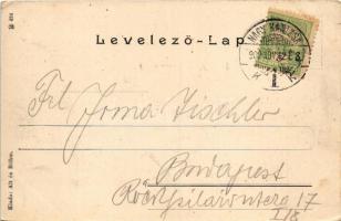 1902 Nagykanizsa, Deák tér, Gyógyszertár az Igazsághoz, Fantl Testvérek, Neu és Klein üzlete, templo...