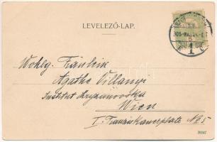1905 Nagykanizsa, Deák tér, templom, üzletek. Fischel Fülöp kiadása (EK)