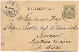 1905 Nagykőrös, Gabona piac, Benedek Adolf üzlete, Külső piactér, Református templom. Bazsó Lajos ki...