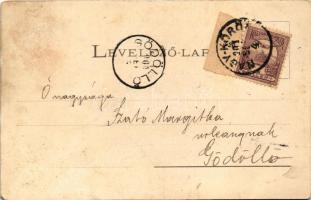 1901 Nagykőrös, Református főgimnázium. Geszner Jenő kiadása (r)