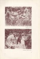Halápy János festőművész gyűjteményes kiállítása a Fränkel Szalonban. [Kiállítási katalógus] (1938)....