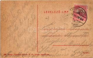 1909 Aranyosmarót, Aranyos-Maróth, Zlaté Moravce; Megyeháza. Eisenberg Károly kiadása 388. (W.L. ?) ...