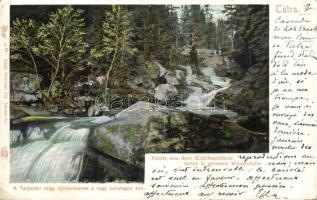 Tátra Tarpatak valley waterfall (EB)