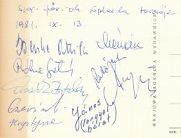 1981 Magyar és lengyel röplabdázók által aláírt képeslap röplabda tornáról