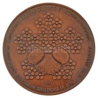 1995. "Sejtbiológiai és Mikropaleontológiai Laboratórium - József Attila Tudományegyetem Szeged" egyoldalas bronz díjérem (60mm) T:AU Hungary 1995. "Laboratorium Biologiae Cellularis ET Micropalaeontologiae - In universitate Scientiarum Szegediensi de Attila József Nominata" one-sided bronze award medal (60mm) C:AU