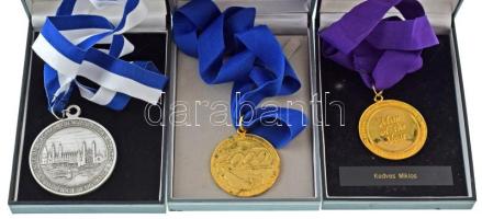 Vegyes, 7db-os, dr. Kedves Miklós (Szeged 1933- Szeged 2003.) paleontológus, botanikus és egyetemi tanár nemzetközi, angol nyelvű díjai, elismerései tétel. Benne: -"Közösségi szolgálat és szakmai eredmények elismerése - Az év embere" kétoldalas, aranyozott fém díjérem szalagon, dísztokban (58mm), (2x) -"Amerikai Életrajzi Intézet - Becsületrend - 2000 Millenium" egyoldalas, aranyozott fém díjérem szalagon, dísztokban (58mm) -"ILA - International Leaders in Achievement (A teljesítmény nemzetközi vezetői) / Nemzetközi Életrajzi Központ - Cambridge - Anglia" kétoldalas bronz díjérem szalagon, dísztokban (58mm) -"Az év nemzetközi embere 1995-1996" kétoldalas, ezüstözött bronz díjérem szalagon, dísztokban (75mm) -"A 20. század érdemrendje / Nemzetközi Életrajzi Központ - Cambridge - Anglia" kétoldalas, ezüstözött bronz díjérem szalagon, dísztokban (75mm) -"2000 - A 20. század Kiemelkedő Személyiségei / Nemzetközi Életrajzi Központ - Cambridge - Anglia" kétoldalas, ezüstözött bronz díjérem szalagon, dísztokban (75mm) T:AU,XF, az egyiken aranyozás kopás