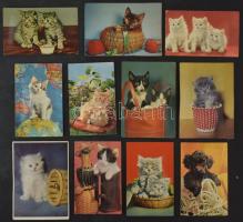 cca 1970 11 db MODERN megnyomható, síró macskás képeslap