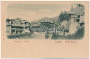 Ótátrafüred, Tátrafüred, Altschmecks, Stary Smokovec (Magas-Tátra, Vysoké Tatry); Maurer Adolf üzlete / shop. Emb. Stengel Reliefkarte (fl)