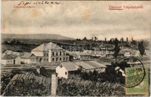 1906 Tótpelsőc, Pliesovce; látkép, városi vendéglő. Polgár I. kiadása (Ipolyság) / general view, restaurant. TCV card (fl)
