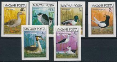 1980 Madarak (IX.) - Védett vízimadarak vágott sor (4.500)