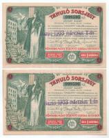 1903. Budapest "Tanuló Sorsjegy" 1K értékben (5x) sorszámkövetők "098592 - 098596&quo...