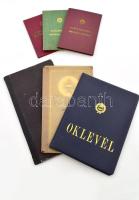 1950-1972 Kaszás Ildikó (1941-2024) balett-táncos, koreográfus okmányai, összesen 7 db, közte Állami Balettintézet leckekönyve és bizonyítványa, az Állami Operaházzal kötött munkaszerződése, középiskolai tanulmányi értesítő, előadóművészi működési engedélyek