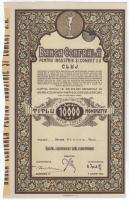 Románia 1946. Kolozsvár "Banca Centrala pentru industrie si comert societate pe actii Cluj (Kolozsvári Központi Kereskedelmi- és Iparbank)" húsz darab névre szóló részvénye egyben, összesen 10.000L-ről, szárazpecséttel, bélyegzéssel, szelvényekkel T:AU Romania 1946. Cluj "Banca Centrala pentru industrie si comert societate pe actii Cluj" Central Bank of Industry and Commerce of Cluj, twenty shares in one, with the shareholder's name, all about 10.000 Lei, with embossed stamp, cancellation and coupons C:AU
