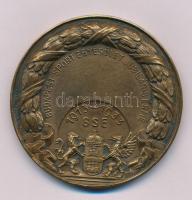 Pincés Puder István (1907- ?) 1934. "Budapest Sport Egyesület Jubiláris Érme - BSE 1913-1933" bronz emlékérem, "Hawel Bp" gyártói jelzéssel, hátoldalon "FOTÓ-kiállítás 1934" gravírozással (59mm) T:AU