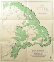 1940 Román települések Kelet-Magyarországon a XIII. és XIV. században Erdélyben és Kelet-Magyarországon. Dr. Lukinich Imre vezetésével az eredeti oklevelek alapján készítette: Dr. Fekete-Nagy Antal, Dr. Glaser Lajos, Dr. Makai László. Bp., Magyar Királyi Honvéd Térképészeti Intézet, 50x57 cm.