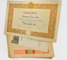 Nagy papírrégiség tétel. benne kb 10-15 db szocreál nagy méretű oklevél, közötte selyemre készültek is, katonai vonatkozású iratok, sok postai nyomtatvány, ca 1970-1980 s évekből kitöltetlenül