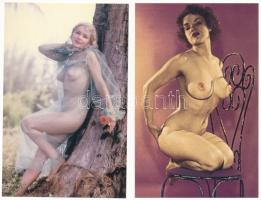 88 db MODERN megíratlan erotikus képeslap, "Classic Pin-Ups" sorozat, meztelen hölgyek / 8...