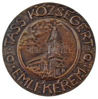 DN "Tass Községért Emlékérem / 1001" kétoldalas, öntött bronz emlékérem dísztokban (98mm) ...