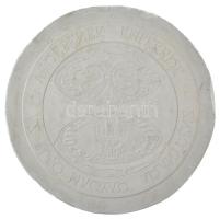 1978. 200Ft "Az első magyar aranypénz verésének emlékére" meg nem valósult érmetervezet gipsz hátlapi NEGATÍV nagyminta (160mm) T:AU,XF ph. Hungary 1978. 200 Forint "Az első magyar aranypénz verésének emlékére (In memory of the minting of the first Hungarian gold coin)" unrealized coin's plan reverse NEGATIVE large plaster sample (160mm) C:AU,XF edge error Adamovszky katalógusban nem szerepel / Not listed in Adamovszky's catalogue