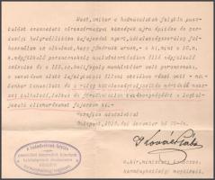 1918 december 29. A hadműveletek folytán pusztulást szenvedett községek belsőségeinek rendezésére ki...