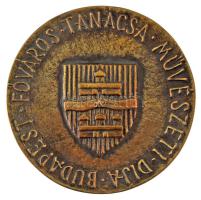 Búza Barna (1910-2010) DN(~1970) "Budapest Főváros Tanácsa Művészeti Díja" kétoldalas, önt...