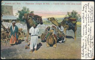 Turkey ~1900 Törökország ~1900
