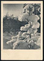 German zones 1947 Németország zónák 1947