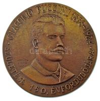 Horváth Sándor (1956-) 2008. "Giacomo Puccini 1858-1924 - születése 150. évfordulójára" kétoldalas, öntött bronz emlékplakett (98mm) T:AU