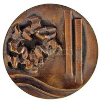 Laborcz Ferenc (1908-1971) 1970. "1945-1970 emlékére XVII. ker" kétoldalas, öntött bronz emlékérem, hátoldalán gravírozás nélkül, rátéttel (77mm) T:AU