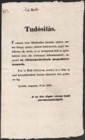 1849 A világosi fegyverletételről szóló császári hirdetmény. Győr városában kiadva, Tudósítás, a császári orosz főhadiszállásá közlése szerint Görgey minden oldalrul körülvetetvén 24x38 cm