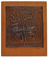 1973. "VIT Vizitúra - Dunaújváros KISZ Városi Bizottsága - X VIT Berlin" bronz lemezérem, ...