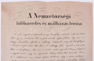 1848 Nemzetőrségi lófelszerelés és málházás leírása. Pest nyárhó [július] 1-ső napján 1848. Az Orszá...