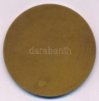 1968. "100 éves a Láng Gépgyár 1868-1968" egyoldalas bronz emlékérem (60mm) T:AU