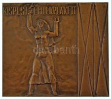 1980 k. "Kispest Emlékplakett" egyoldalas bronz plakett eredeti tokban (86x76mm) T:AU,XF