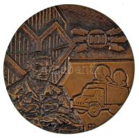 Rózsa Péter (1936-2015) ~1970-1980. "MN (Magyar Néphadsereg) Hiradóverseny" kétoldalas, öntött bronz plakett, eredeti, sérült dísztokban (96mm) T:AU